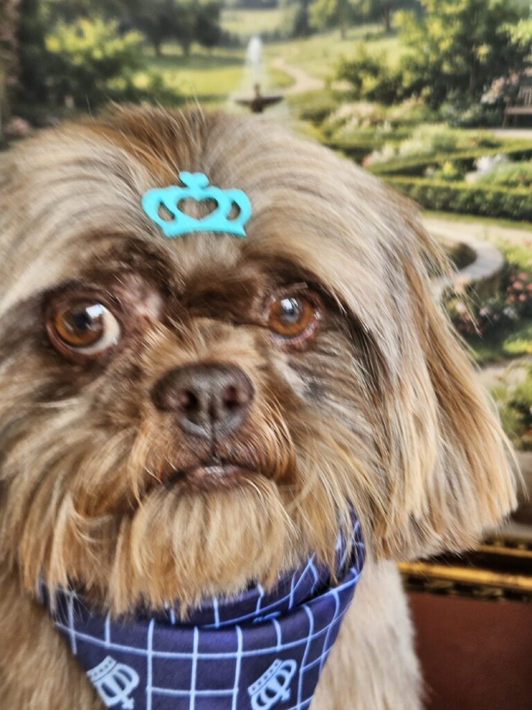 Foto de capa
