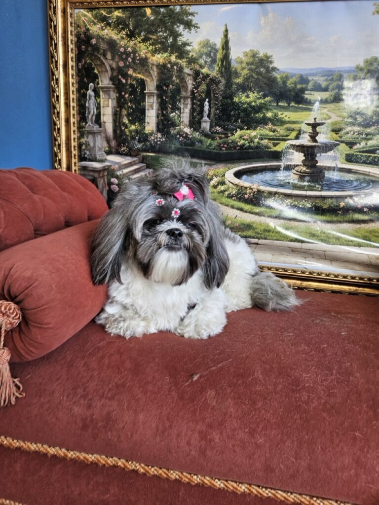 Foto de capa