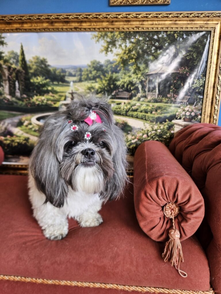 Foto de capa