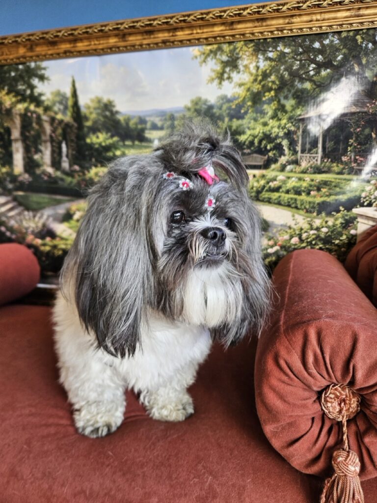 Foto de capa
