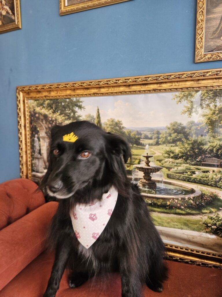 Foto de capa