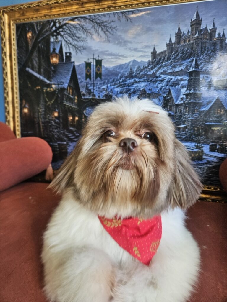 Luigi na Realeza Pets, foto 13
