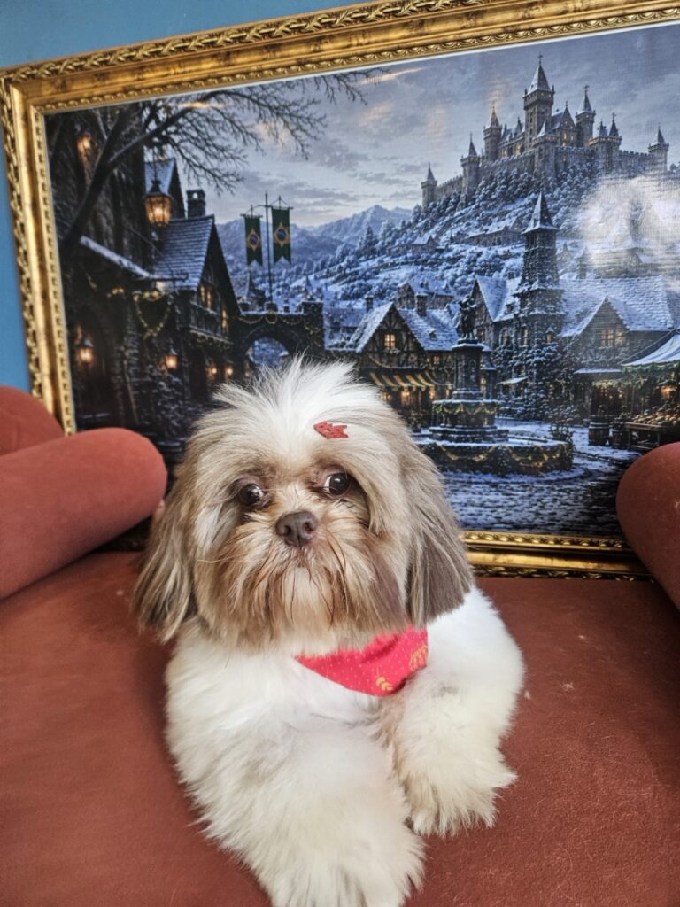Luigi na Realeza Pets, foto 14