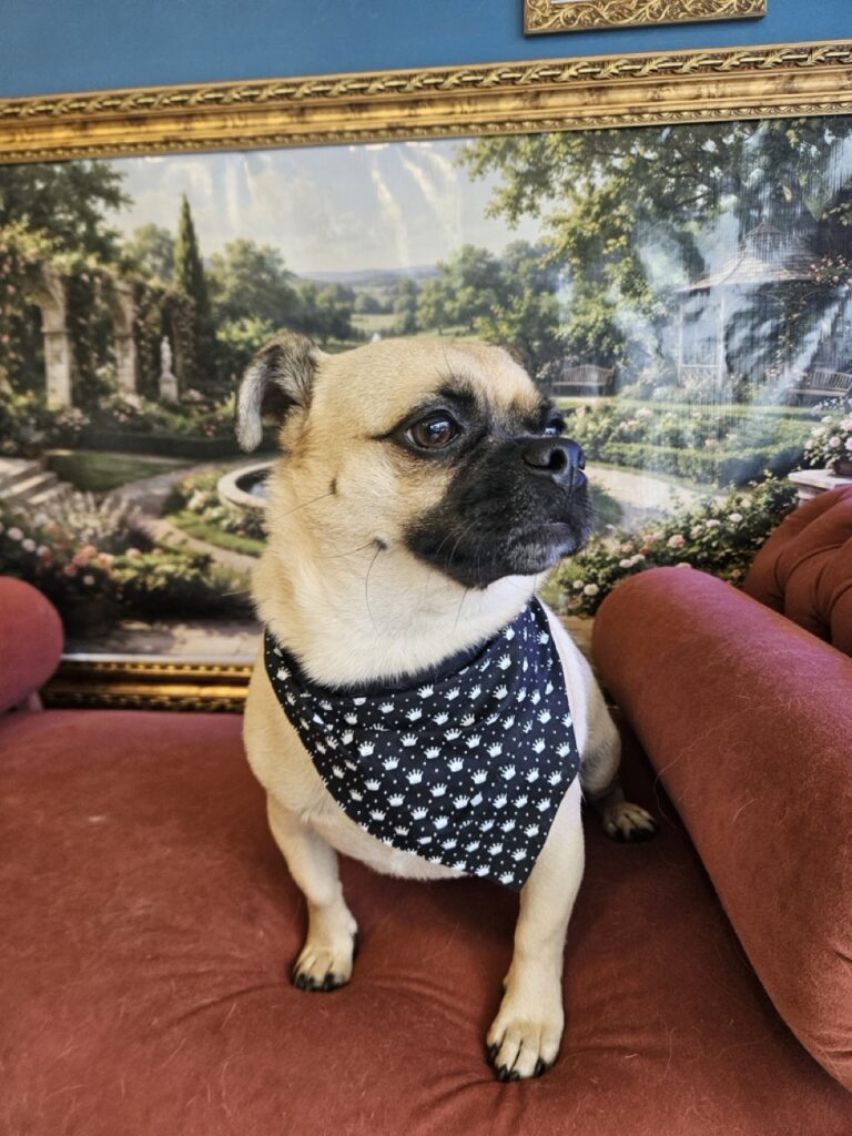 Foto de capa