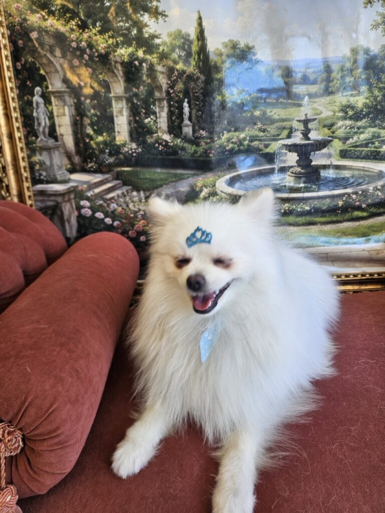 Foto de capa