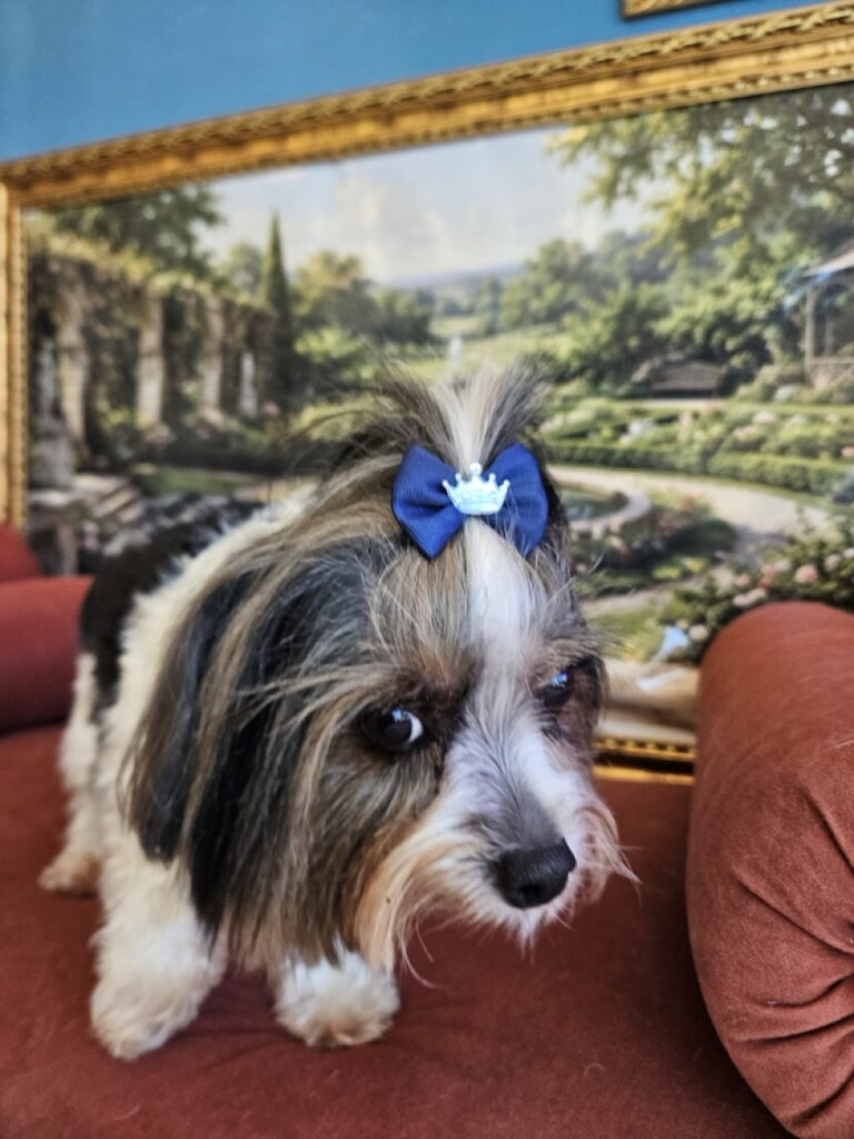 Foto de capa