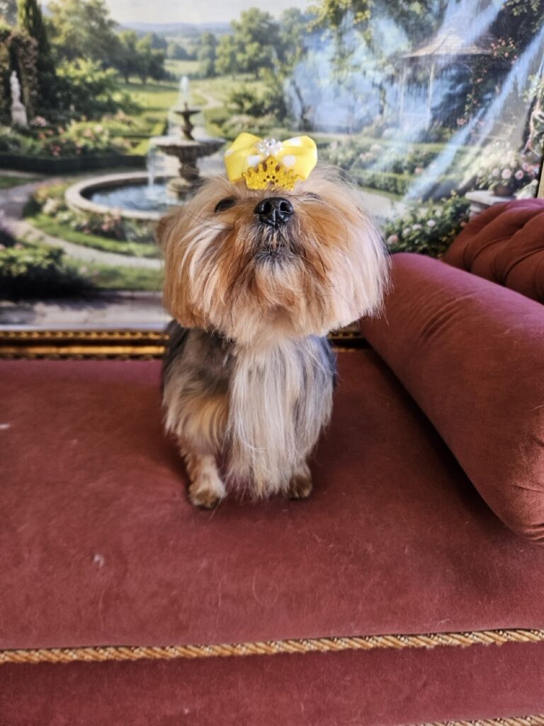 Foto de capa