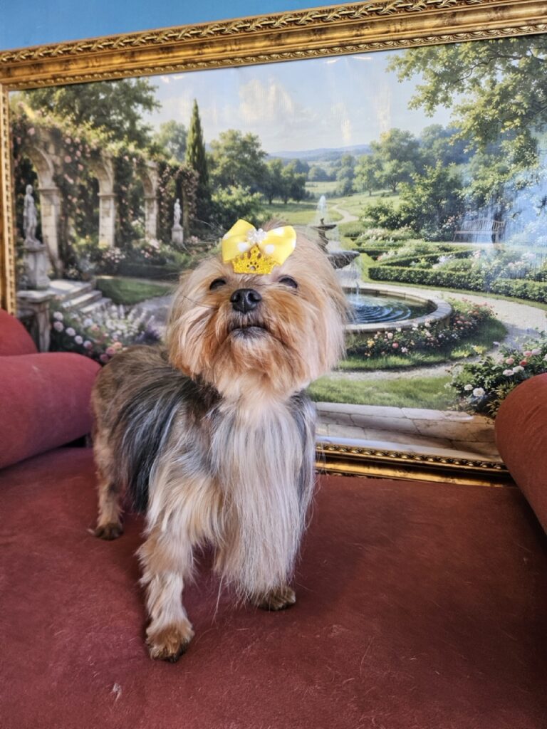 Foto de capa
