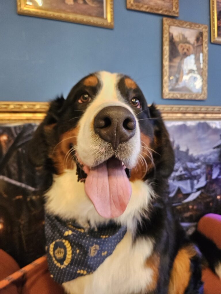 Tanjiro na Realeza Pets, foto 5