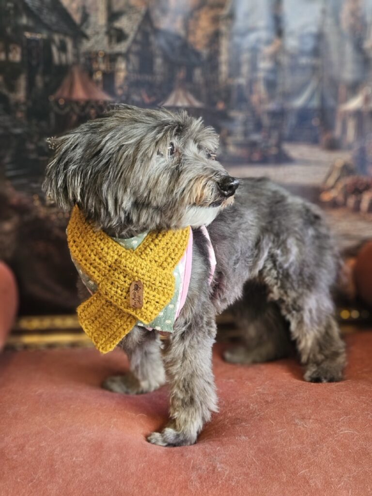 Pipoca na Realeza Pets, foto 6