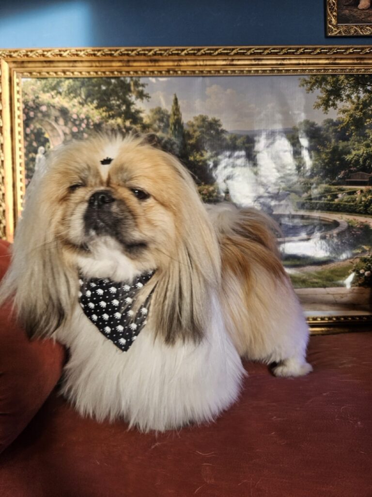Foto de capa