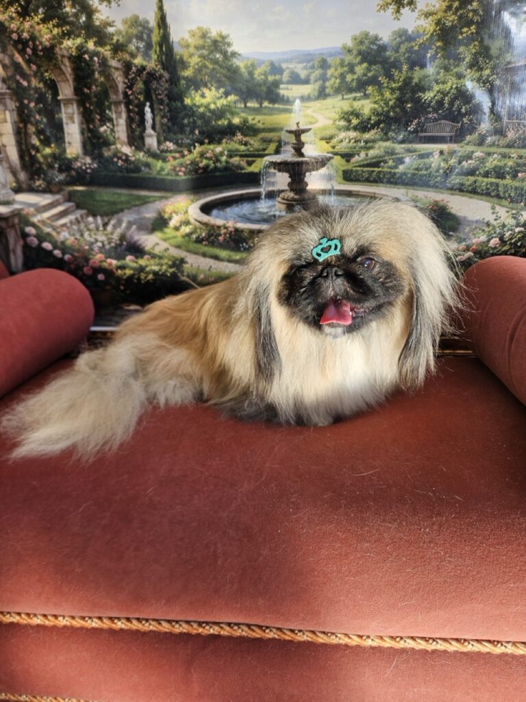 Foto de capa
