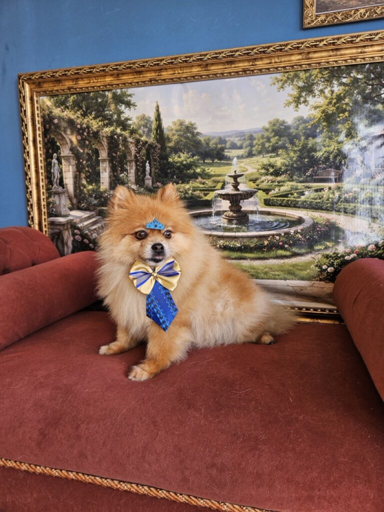 Foto de capa