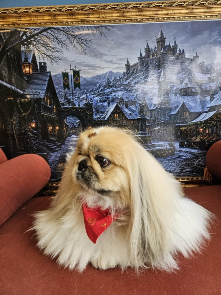 Pirulito na Realeza Pets, foto 21