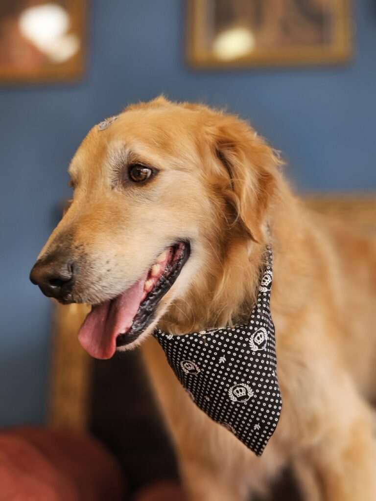 Foto de capa