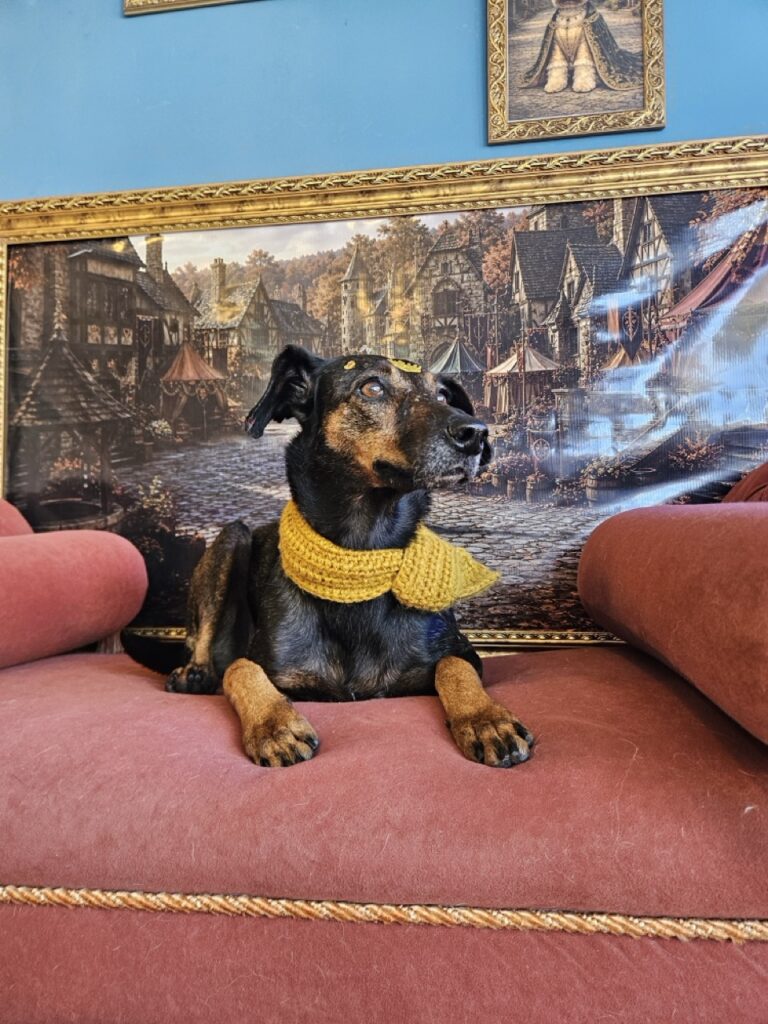 Kakau na Realeza Pets, foto 12