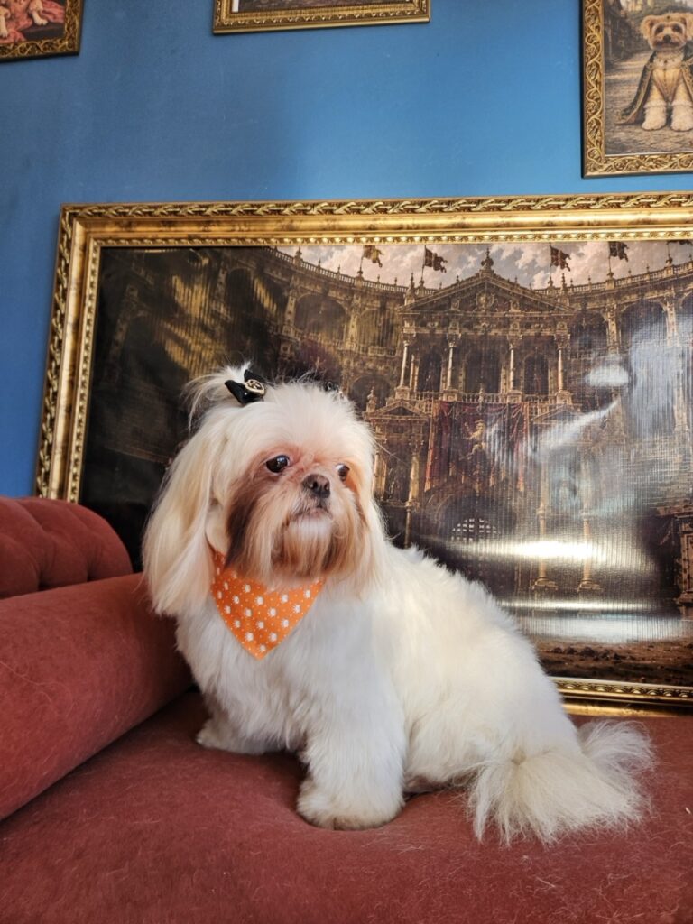 Luna Kazmierczak na Realeza Pets, foto 16