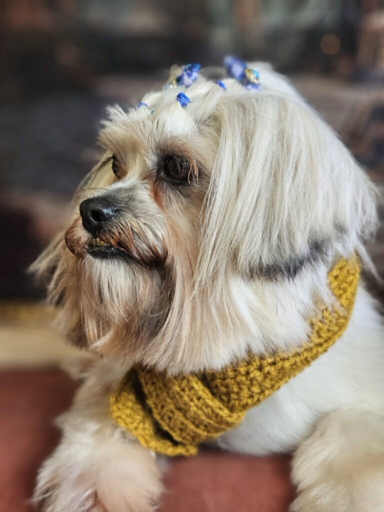 Meg na Realeza Pets, foto 9
