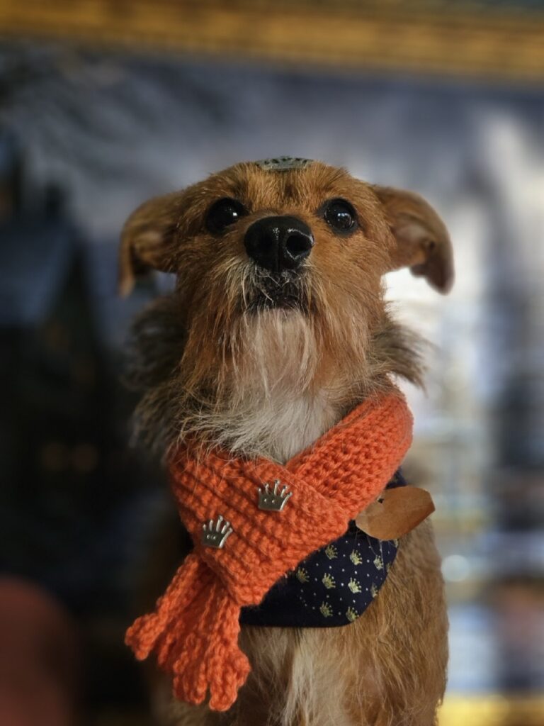 Foto de capa