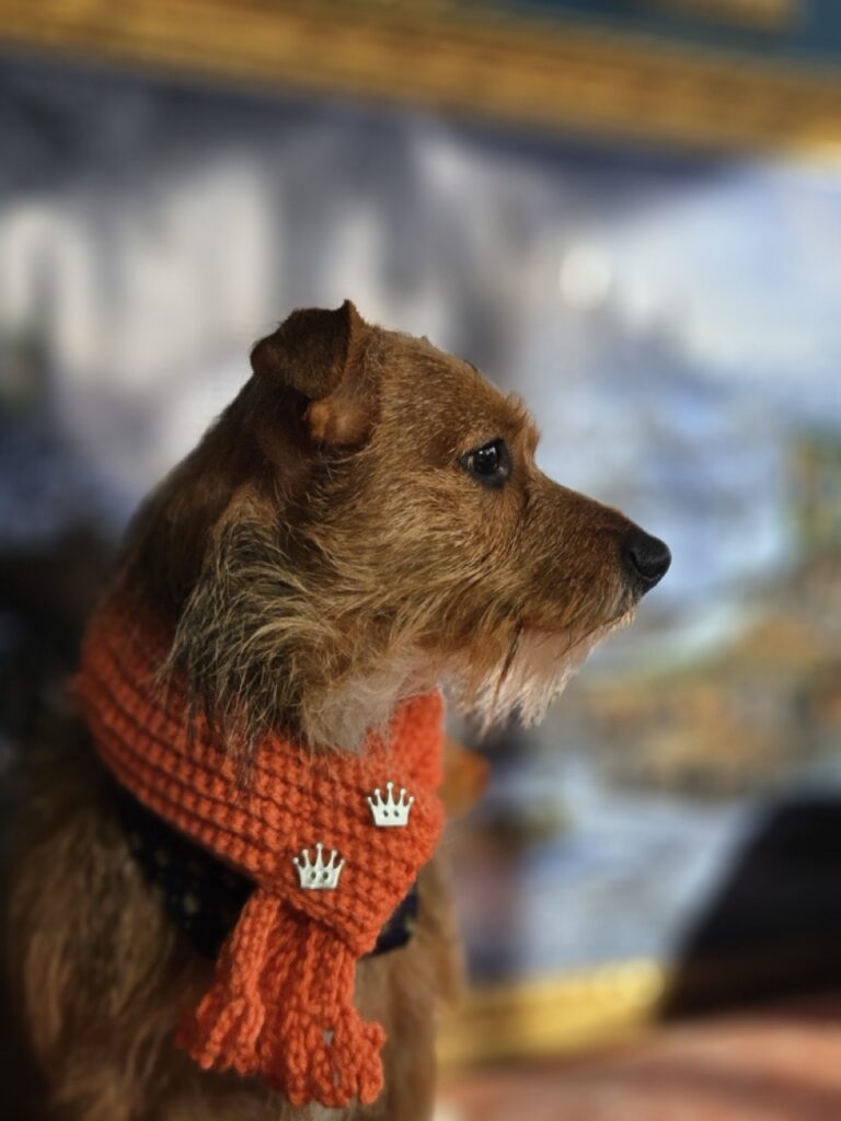 Foto de capa
