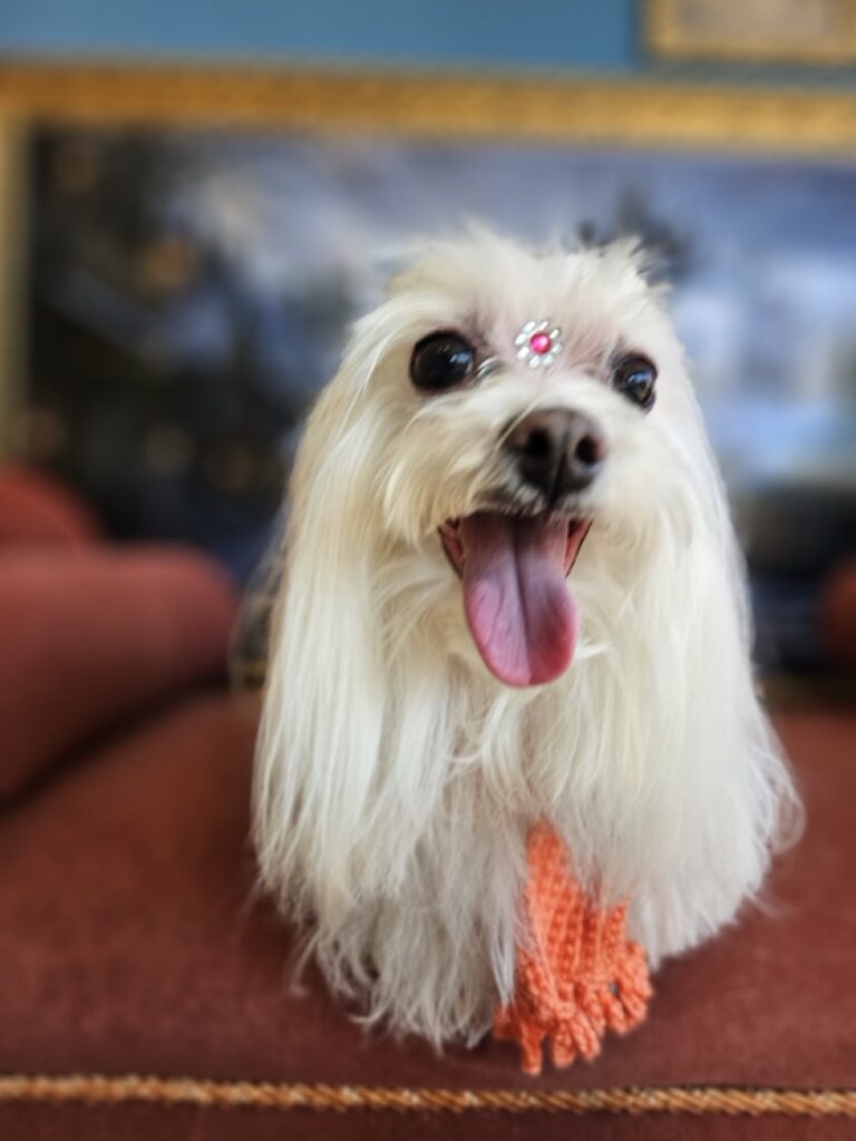 Foto de capa