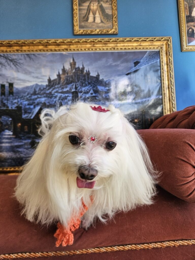 Foto de capa