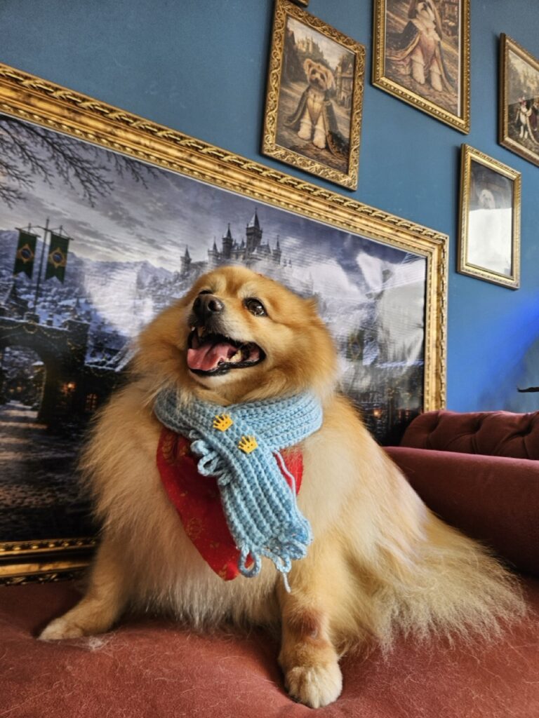 Foto de capa