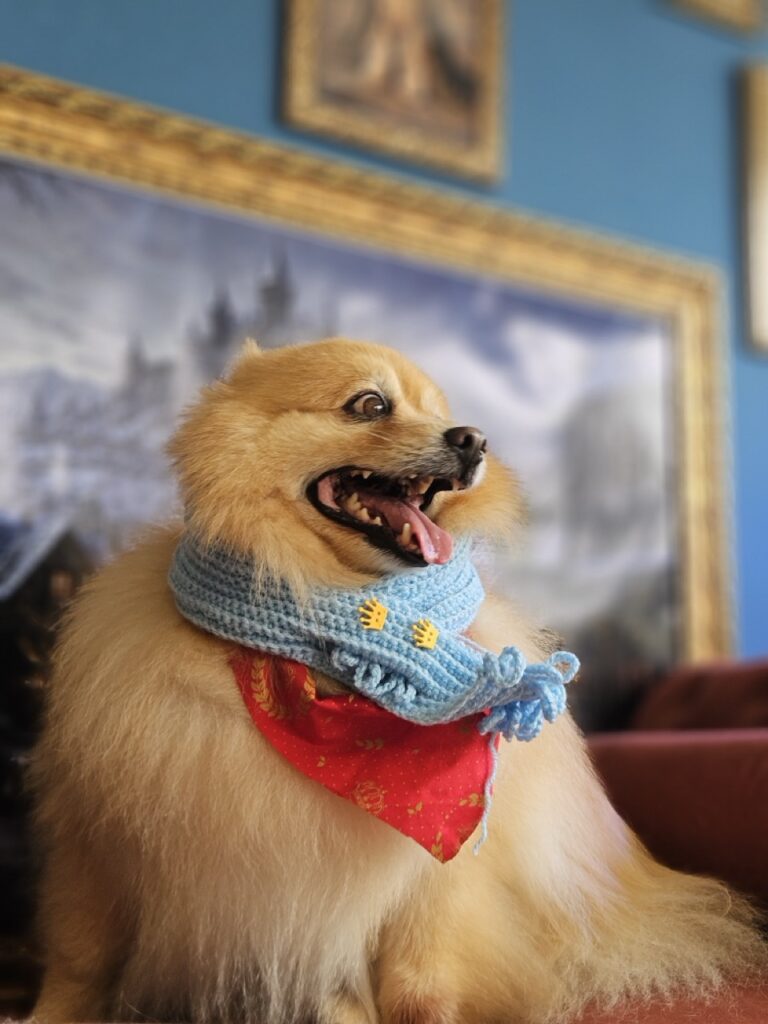 Foto de capa
