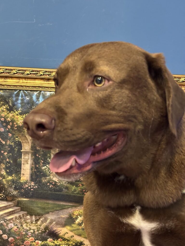 Foto de capa