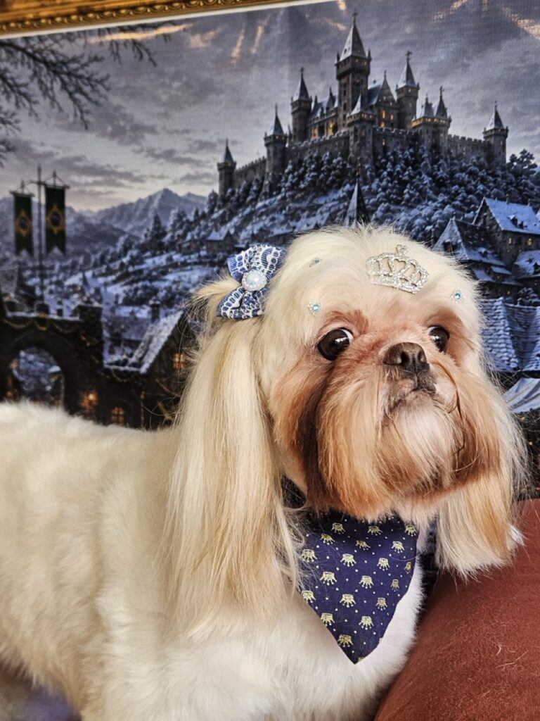 Luna Kazmierczak na Realeza Pets, foto 12