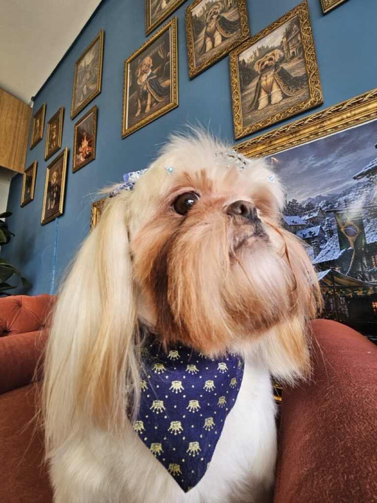 Luna Kazmierczak na Realeza Pets, foto 13