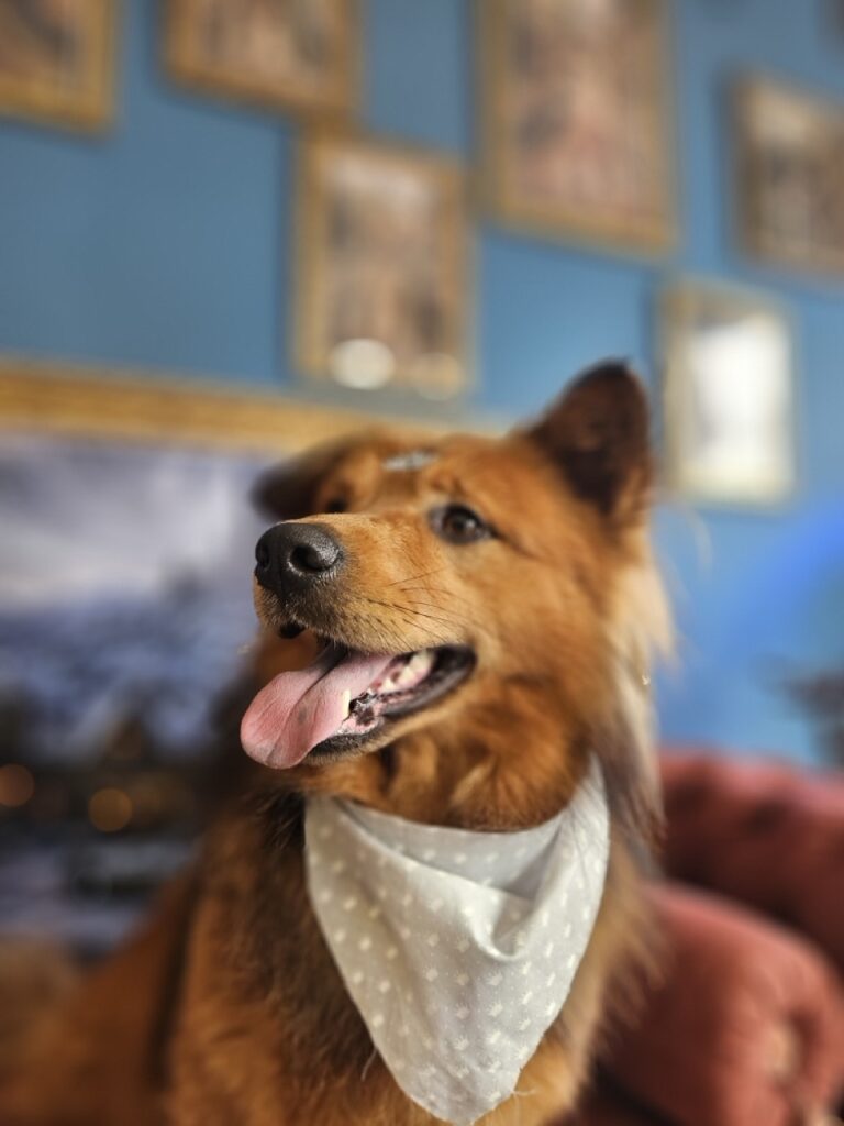 Foto de capa