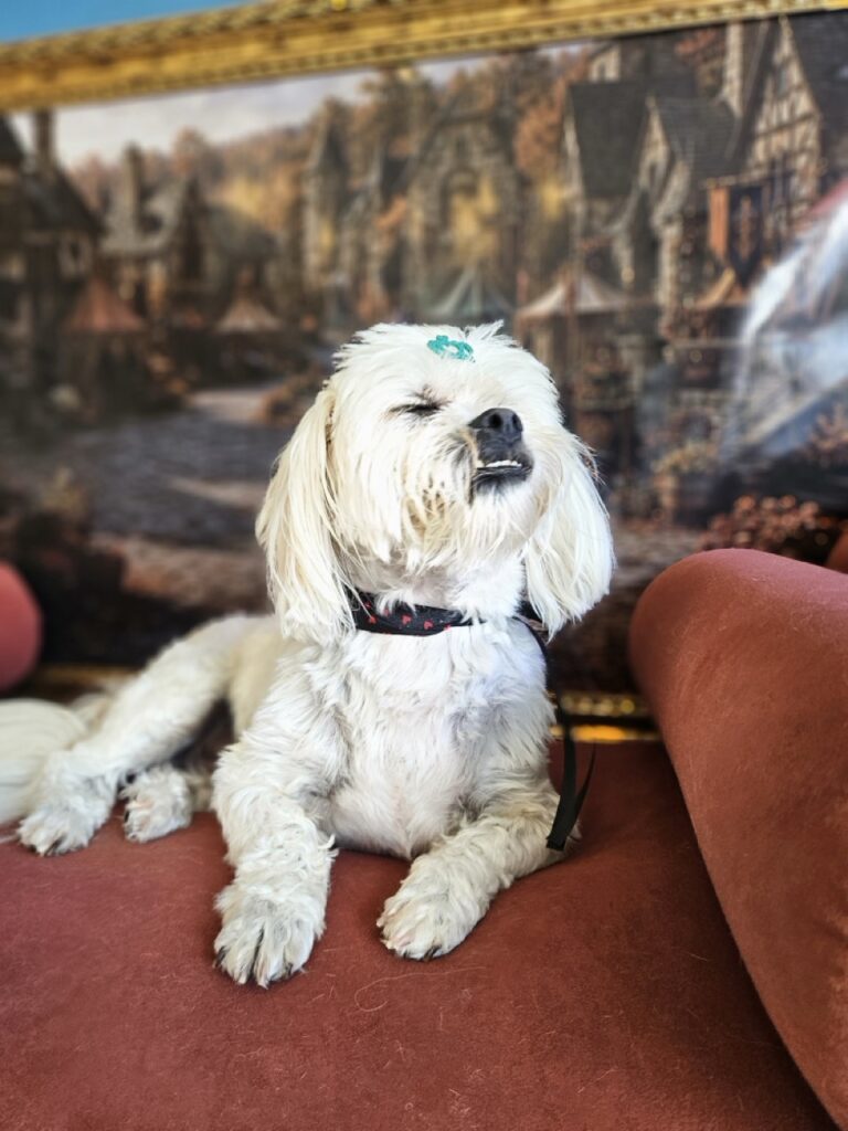 Foto de capa