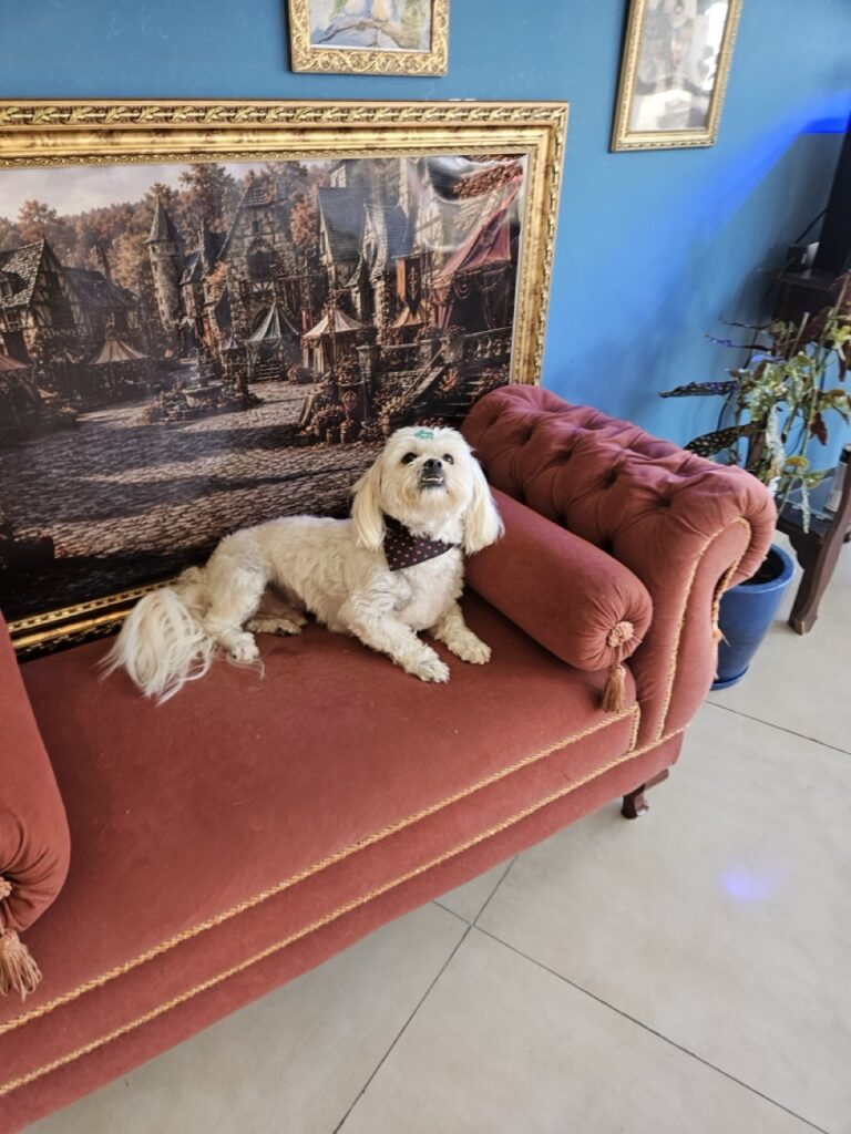 Foto de capa