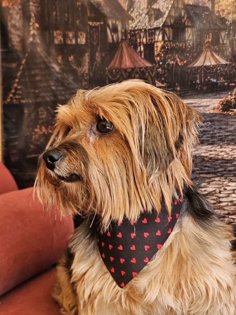Foto de capa
