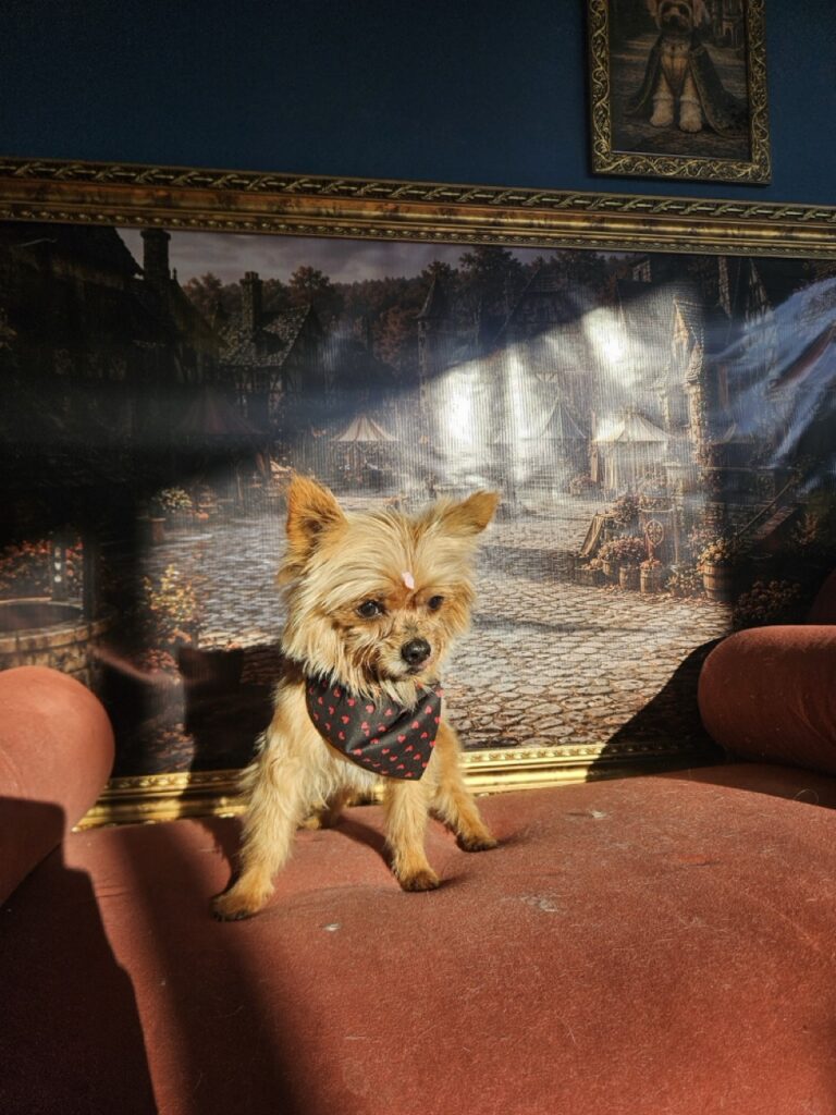 Foto de capa
