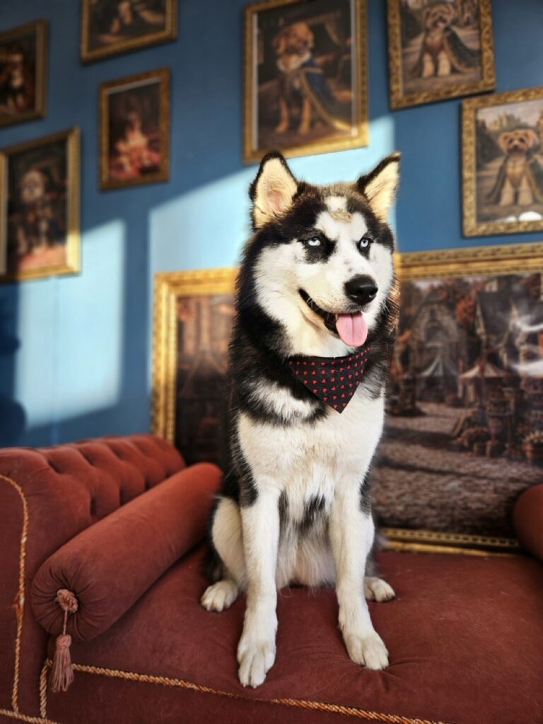 Foto de capa