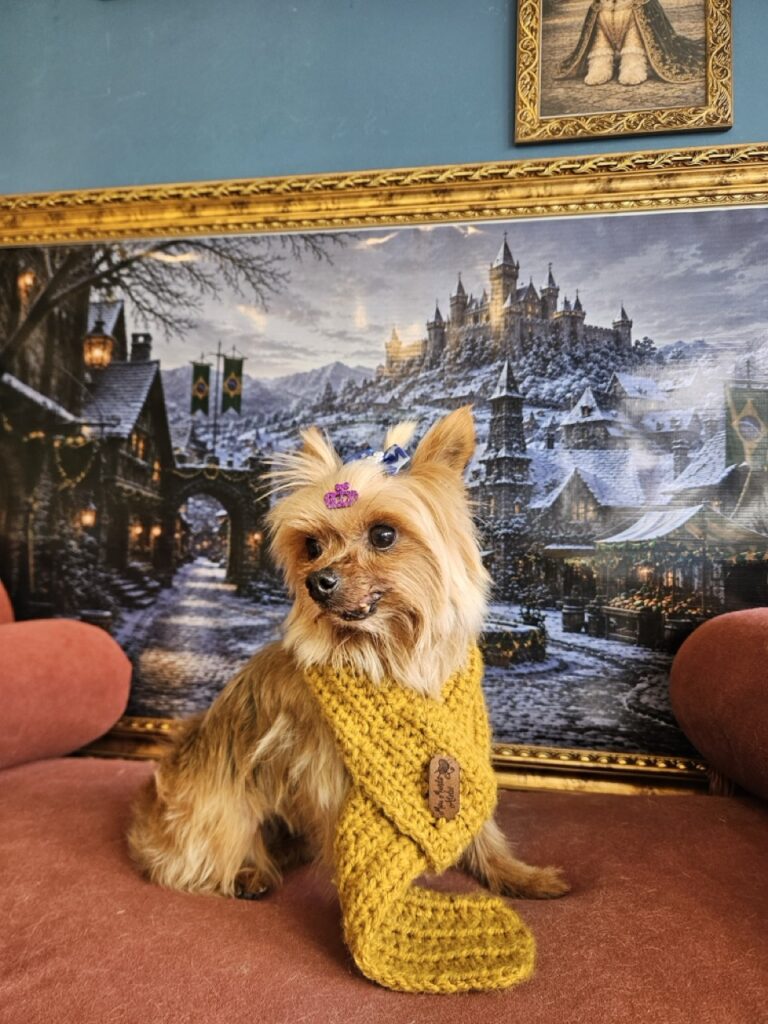 Foto de capa
