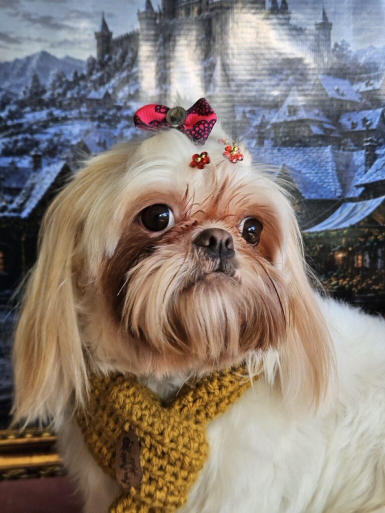 Luna Kazmierczak na Realeza Pets, foto 7