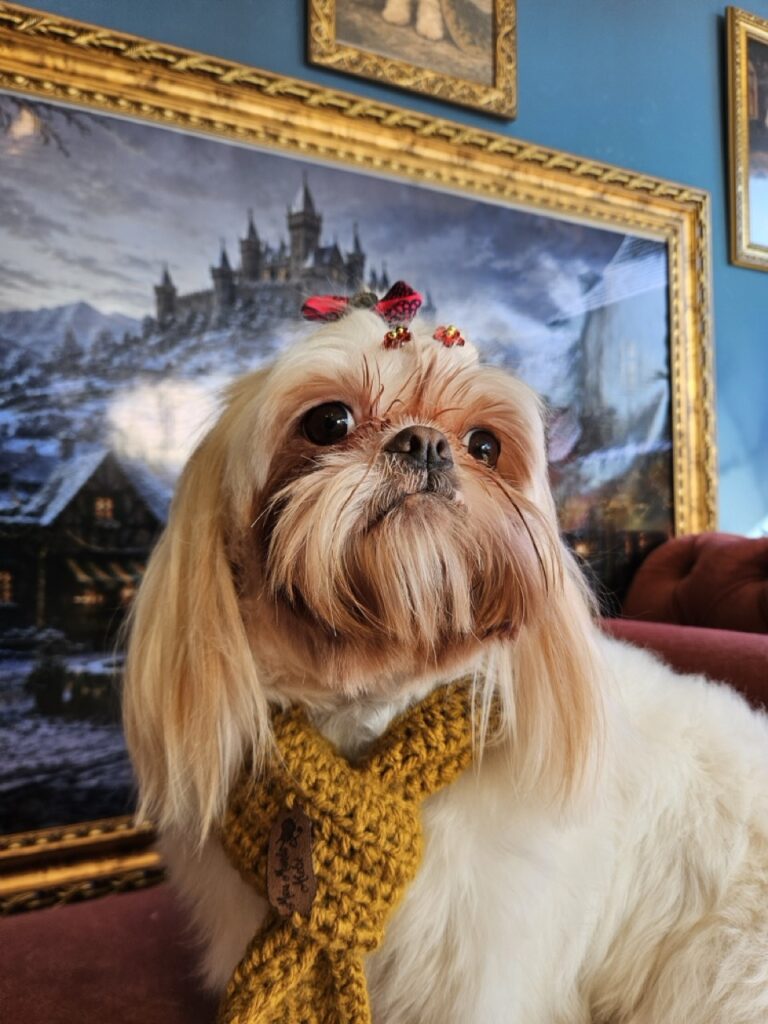 Luna Kazmierczak na Realeza Pets, foto 8