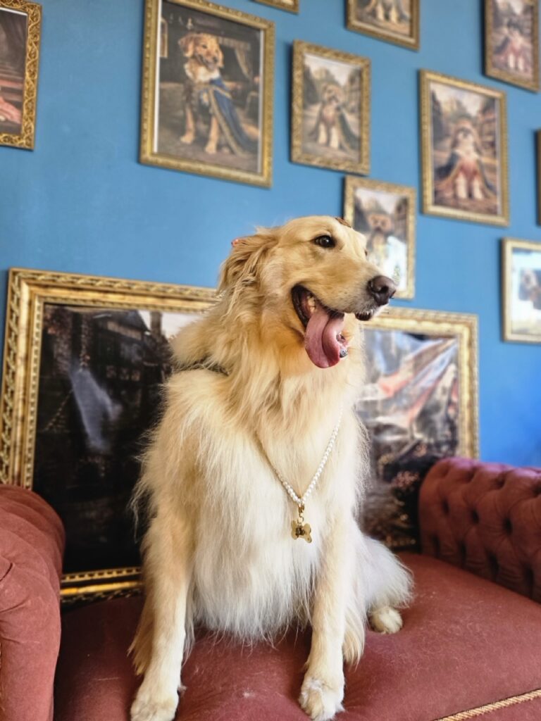 Foto de capa