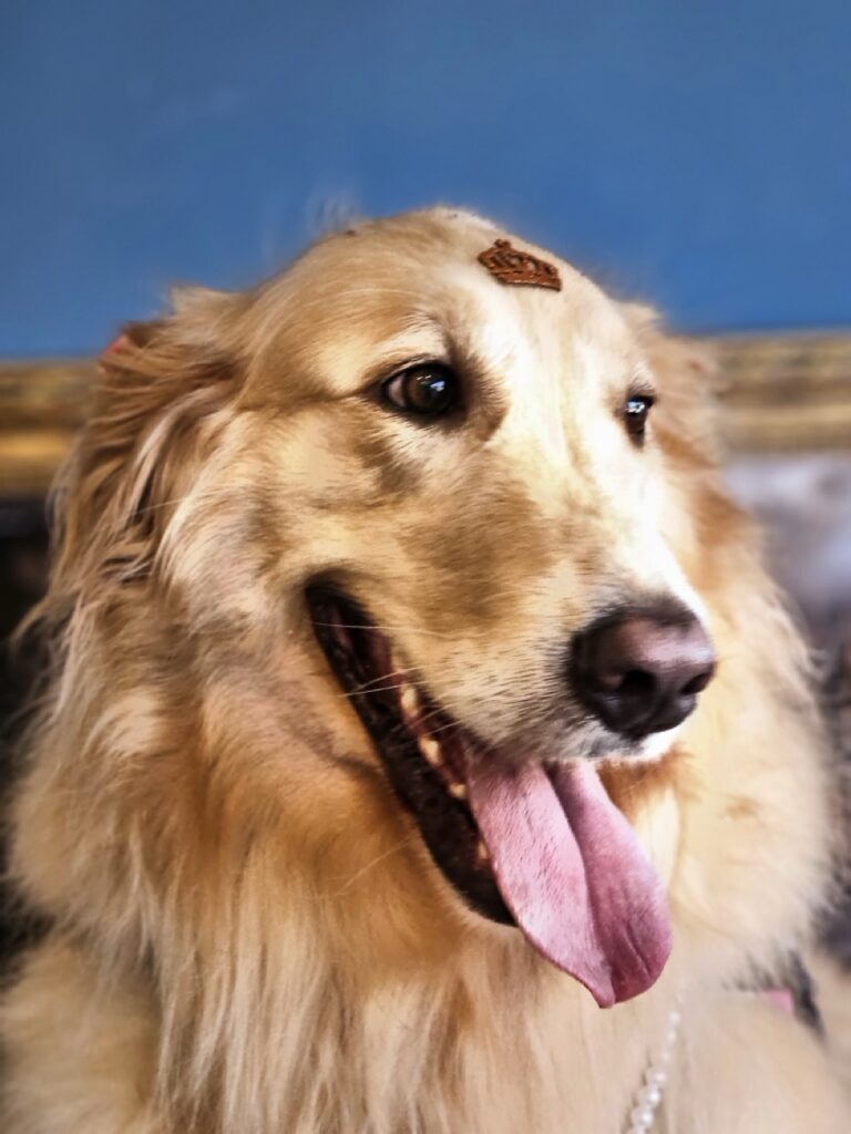 Foto de capa
