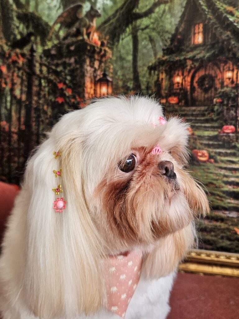 Luna Kazmierczak na Realeza Pets, foto 29