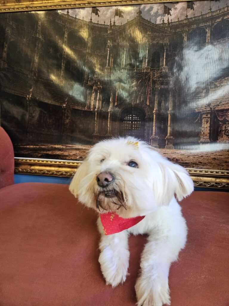 Foto de capa
