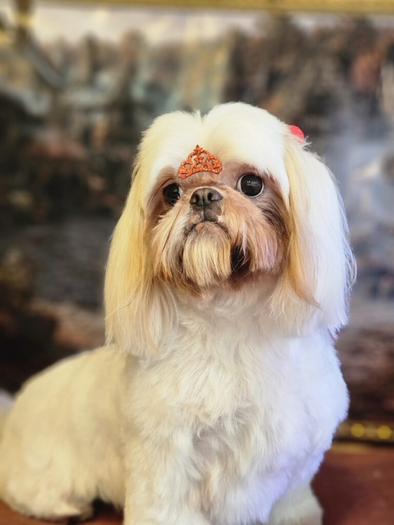 Foto de capa