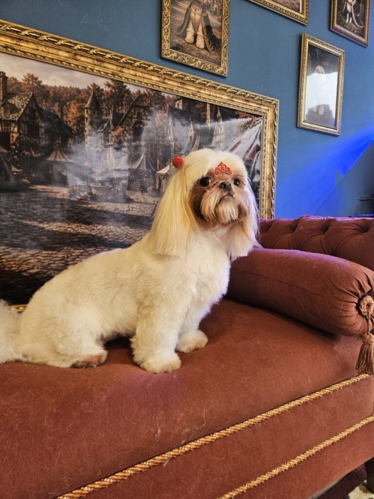 Foto de capa