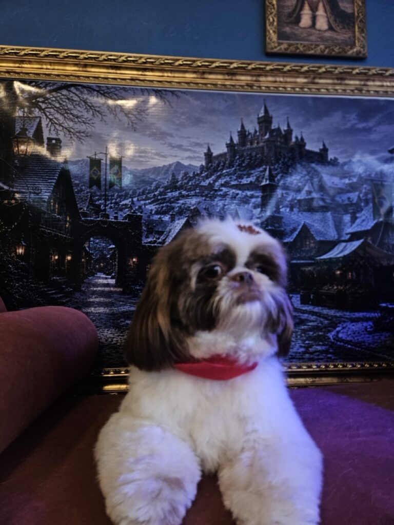 Pipoca na Realeza Pets, foto 18