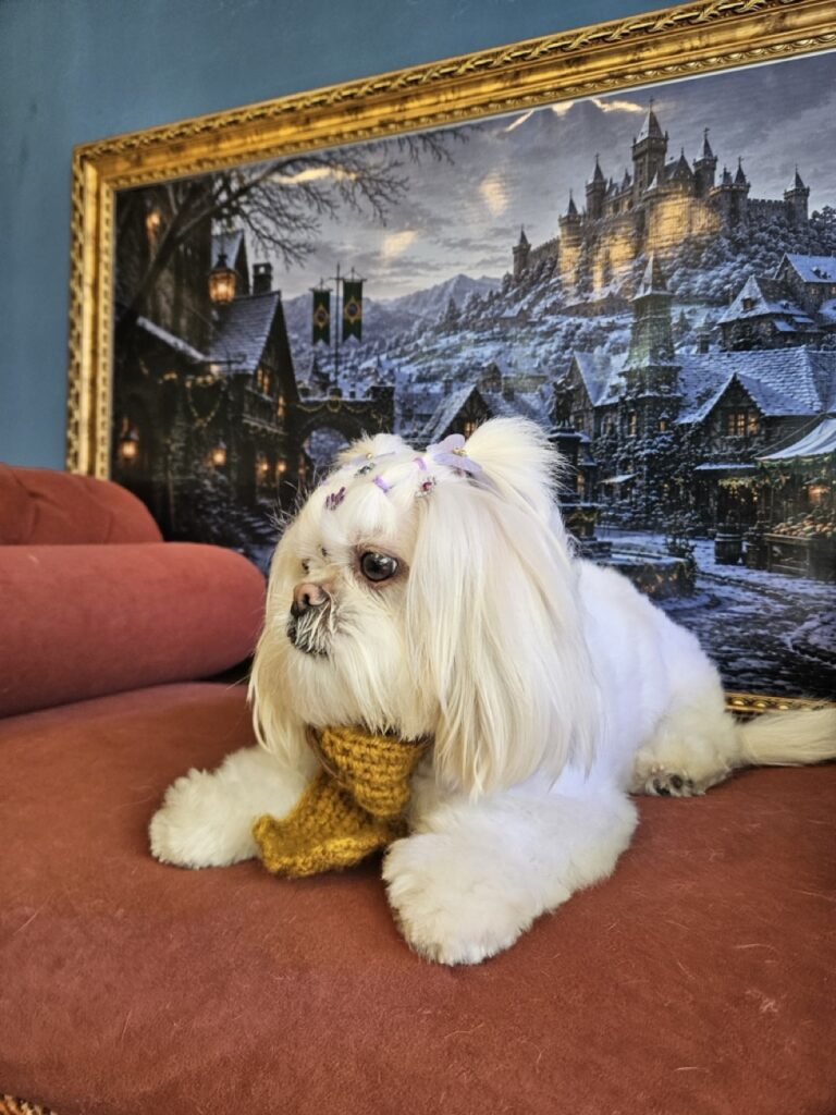 Foto de capa