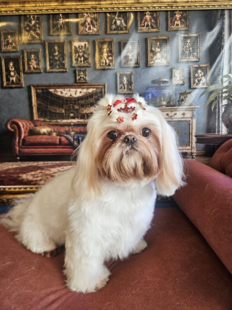 Luna Kazmierczak na Realeza Pets, foto 22