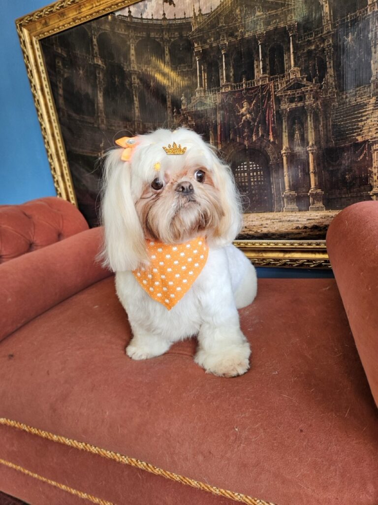 Luna Kazmierczak na Realeza Pets, foto 19